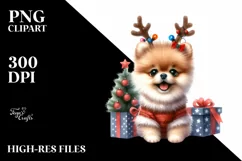 Crazy Pomeranian Portrait PNG Product Image 3