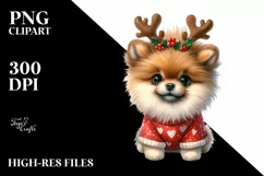 Crazy Pomeranian Portrait PNG Product Image 3