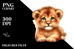 Baby Lion Transparent PNG Product Image 2
