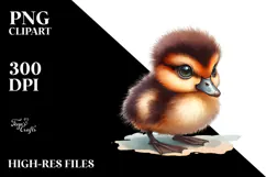 Baby Duck with Big Eyes PNG Product Image 2