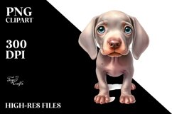 Sublimation|Clipart Product Image 1