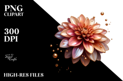 Glossy y Dahlia, Transparent PNG Product Image 2
