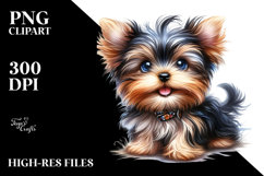 Baby Yorkshire Terrier with Big Eyes PNG Product Image 2