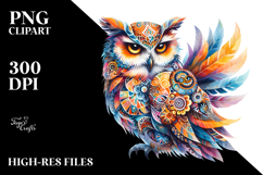 Hummingbird Owl | Vibrant | Sublimation Product Image 2
