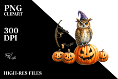 Owl for Halloween PNG Product Image 2