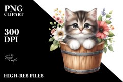 Cute Baby Cat in Wood Bucket PNG Product Image 1