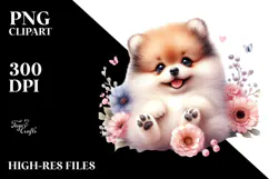 Happy Pomeranian Baby PNG Product Image 2