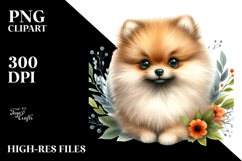 Happy Pomeranian Baby PNG Product Image 2