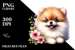 Happy Pomeranian Baby PNG Product Image 2