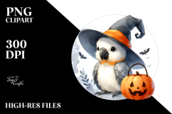 Cute Macaw with Party Hat PNG Product Image 2