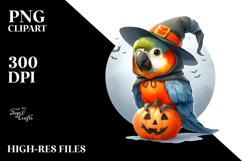cute Macaw with Party Hat PNG Product Image 2