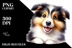 Watercolor Baby Collie with Big Eyes PNG Product Image 2