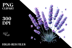 Lavender PNG Product Image 2