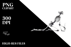 Simple Skeleton PNG Product Image 2
