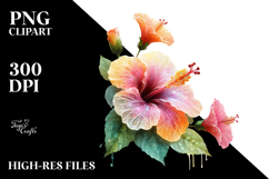 Hibiscus Watercolor Splash PNG Product Image 2
