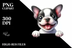Funny Baby Boston Terrier Eyes Smiling | Clipart Product Image 3