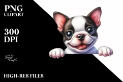 Funny Baby Boston Terrier Eyes Smiling | Clipart Product Image 1
