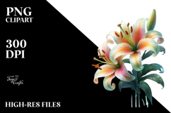 Lily Flower PNG Product Image 2