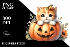 Baby Kitten Popping Out PNG Product Image 3
