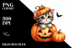 Baby Kitten Popping Out PNG Product Image 3