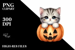 Baby Kitten Popping Out PNG Product Image 1