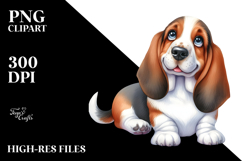 base keywords:sublimation,png,summer,sticker,flower,clipart Product Image 2