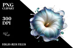 Glossy y Morning Glory, Transparent PNG Product Image 2