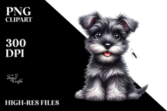 Baby Miniature Schnauzer with Big Eyes PNG Product Image 2