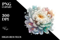 Chrysanthemum, Transparent PNG Product Image 2