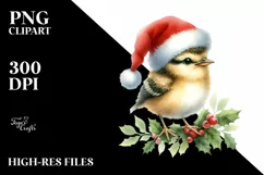 Watercolor Bird with Party Hat, High-Res PNG Product Image 1