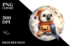 Vibrant Macaw in Halloween Costume, High-Res PNG Product Image 2