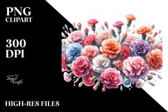 Colorful Carnation Hortography PNG Image Product Image 2