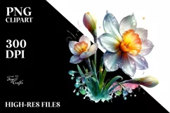 A Shiny Narcissus Clipart with Watercolor Splash Product Image 3