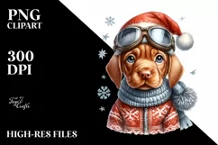 a Winter Baby Vizsla PNG with Santa Hat Product Image 3