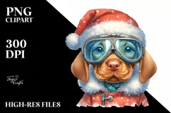 Expressive Vizsla in Winter Attire PNG Product Image 3