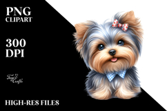 Cute Yorkshire Terrier with Big Eyes Product Image 2