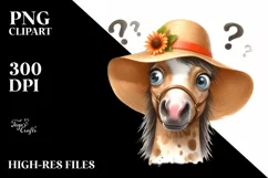 Confused Baby Horse with Big Eyes | Portrait Product Image 1