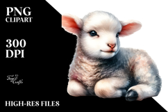 Baby Lamb PNG Product Image 2