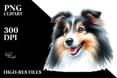 Cute Collie with Big Eyes Product Image 2