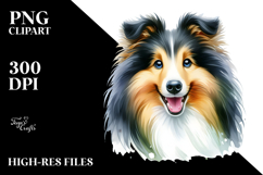Cute Collie with Big Eyes Product Image 2