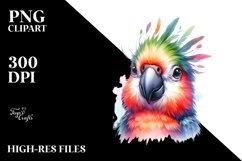 Sublimation|Clipart Product Image 3