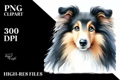 Watercolor Cute Collie Sublimation Clipart Product Image 3