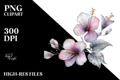 y Hibiscus Watercolor PNG Product Image 2