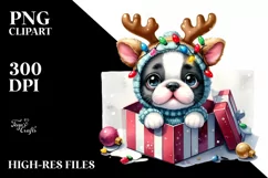 Baby Boston Terrier with Holiday Gift, Transparent PNG Product Image 3