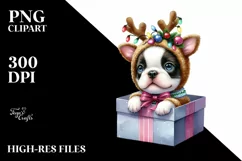 Expressive Baby Boston Terrier, Winter PNG Product Image 3