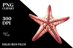 Sublimation|Clipart Product Image 3