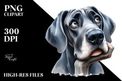 Watercolor Great Dane Thoughtful Smiling Clipart Product Image 3