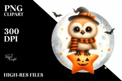 Digital Painting Owl on a Star PNG Product Image 1