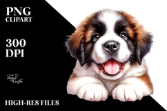 Baby Saint Bernard with Crazy Fur, Transparent PNG Product Image 2
