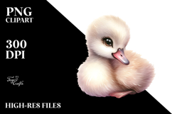 Baby Swan PNG Product Image 2